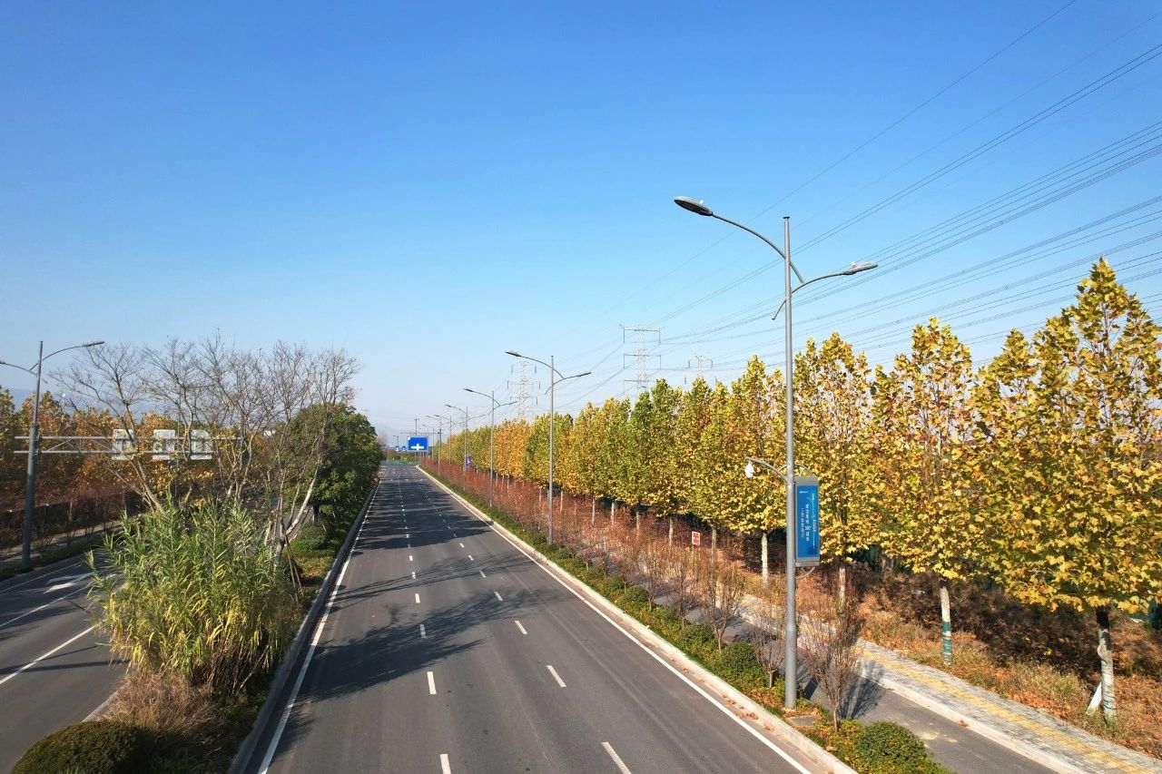 最高奖,三思,浙中公铁联运港,智慧路灯,工程,荣获“市政工程最高质量水平评价”