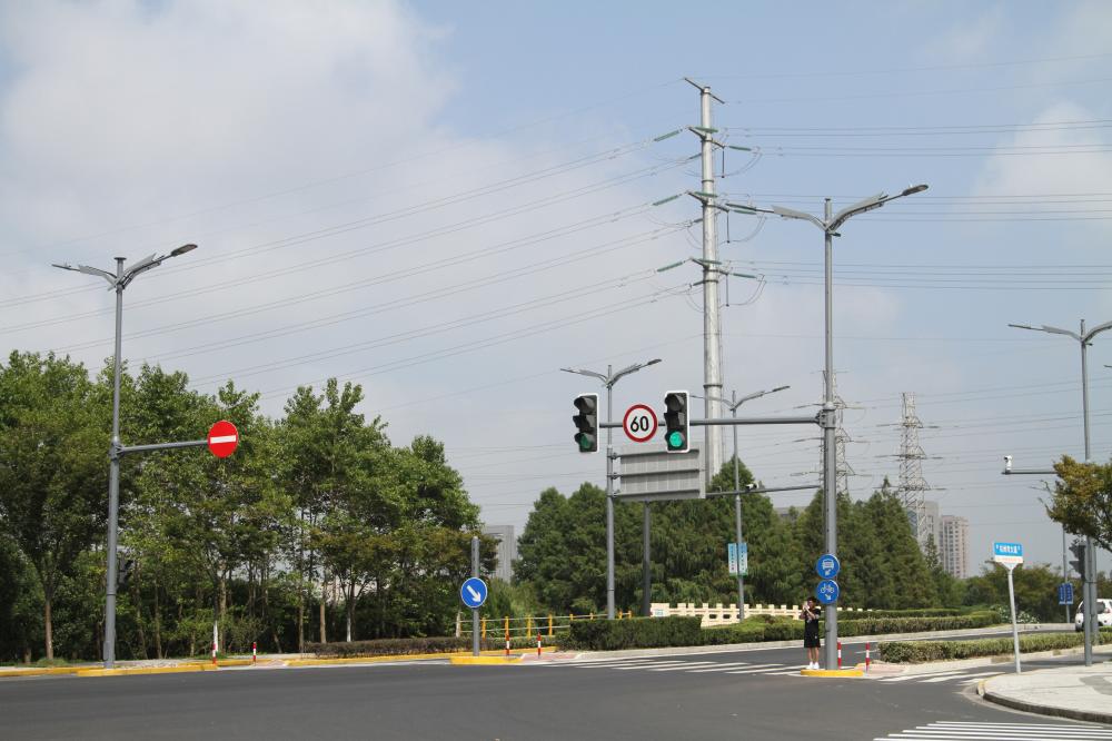 上海金山区,杭州湾大道,合杆整治,工程解析,海鸥造型,综合杆,5G智慧基站,落地实践