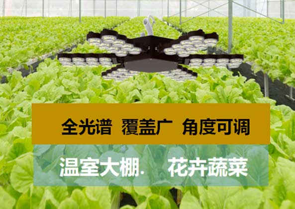 LED显示屏,LED照明灯,植物照明,智能系统,照明品牌,灯具品牌,LED灯具厂家,智能照明