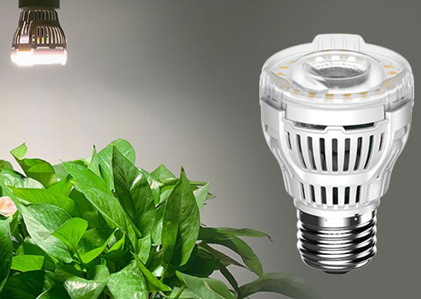 LED显示屏,LED照明灯,植物照明,智能系统,照明品牌,灯具品牌,LED灯具厂家,智能照明