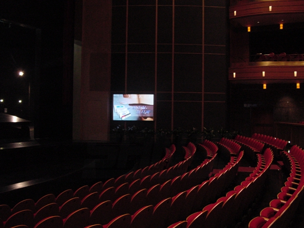 上海大剧院室内全彩显示屏