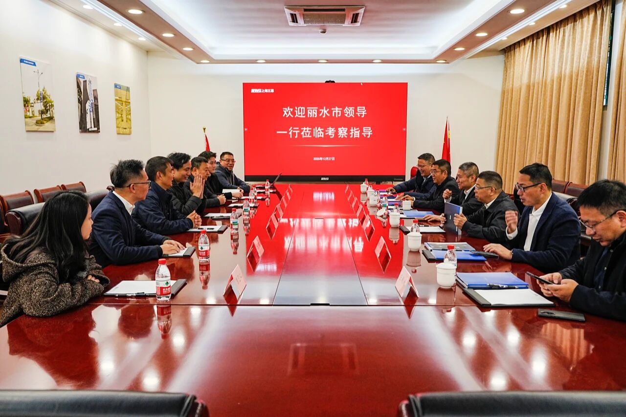 深化政企协同,共拓发展新局,丽水市,领导一行,赴三思考察交流